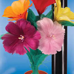 Appearing Bouquet