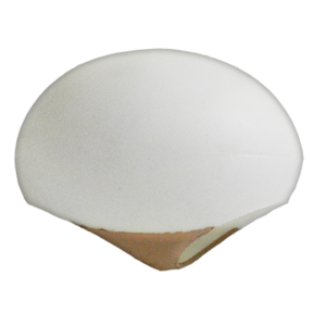 Egg Catcher  (Aerial)