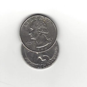Flipper. (Millennial Dollar)