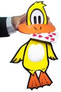 Pancho The   Duck