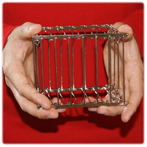 VANISHING BIRD CAGE