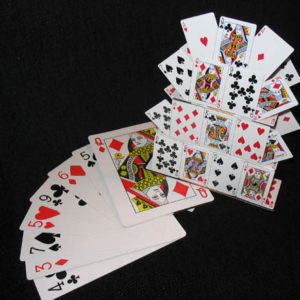 Fan to Mini Card Castle