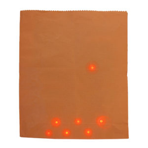 Light in the  Bag