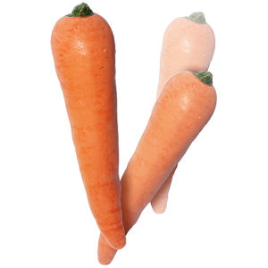 Multiplying Carrots( Latex 2)