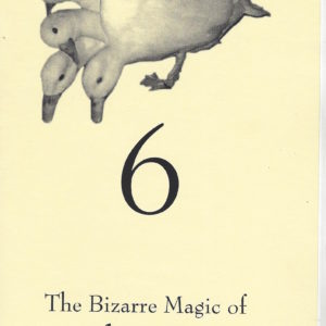 Bizaarre  Magic of Alain Nu