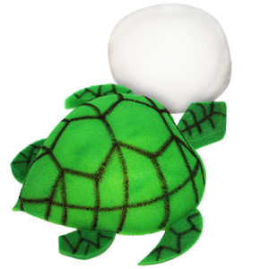 Egg to Turtle