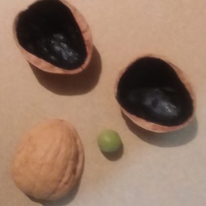 3 Shell Game   (Basic)