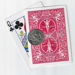 Mag-Netic Cards   (set)