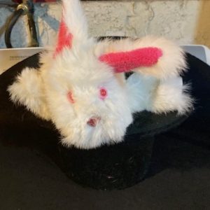 Out of my Hat  (Puppet)