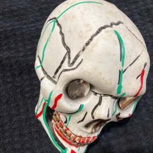 Zombie. Skull